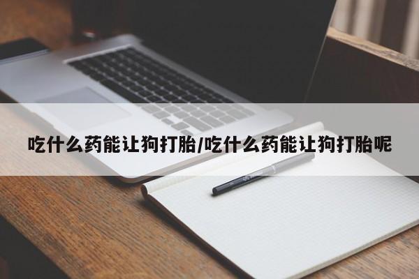 打胎药在哪里买得到吃什么药能让狗打胎/吃什么药能让狗打胎呢