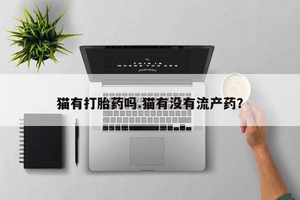 打胎药在哪里买得到猫有打胎药吗.猫有没有流产药？