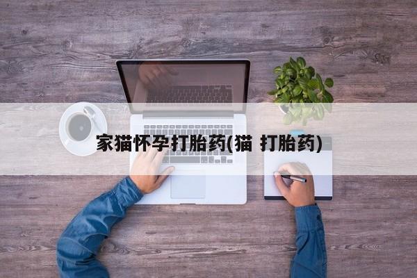打胎药在哪里买得到家猫怀孕打胎药(猫 打胎药)