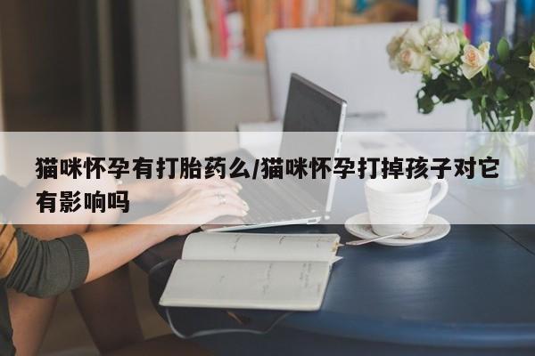 打胎药在哪里买得到猫咪怀孕有打胎药么/猫咪怀孕打掉孩子对它有影响吗