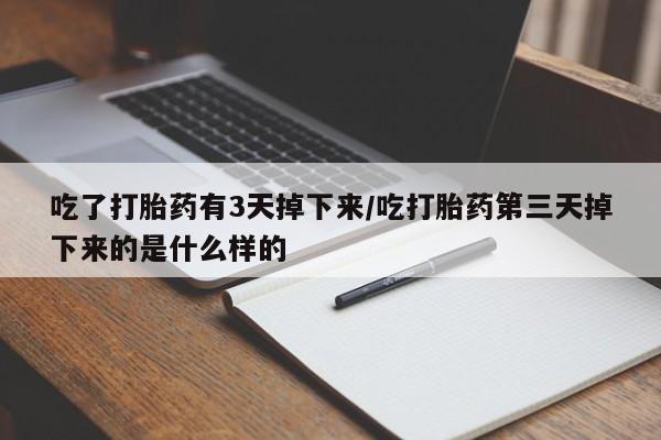 打胎药在哪里买得到吃了打胎药有3天掉下来/吃打胎药第三天掉下来的是什么样的